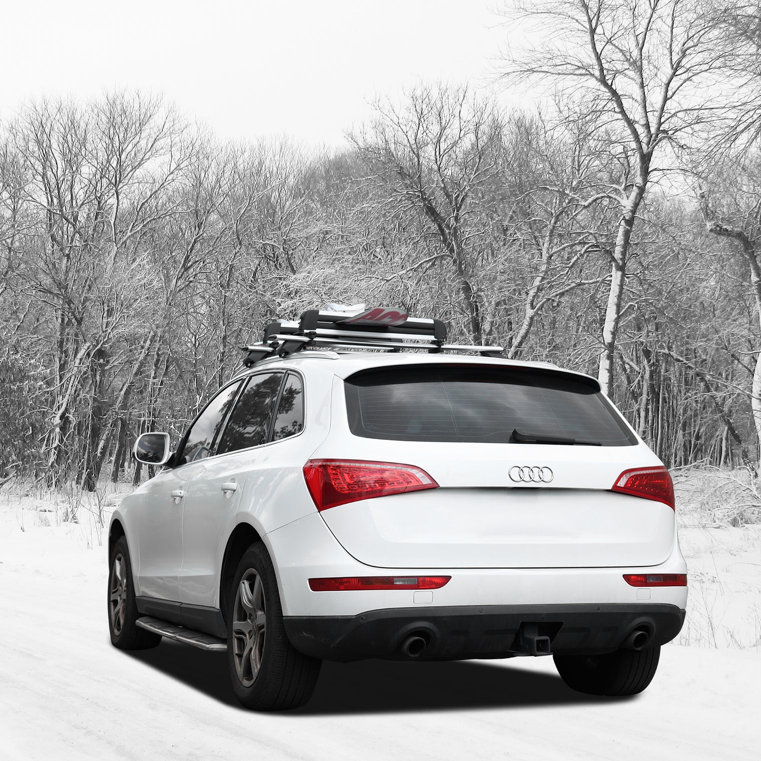 Ski and Snowboard Rack for Car Roof, with TPV Rubber Padding and Lock